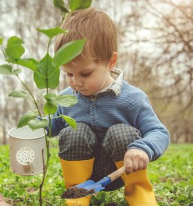 Principios básicos en educacion ambiental