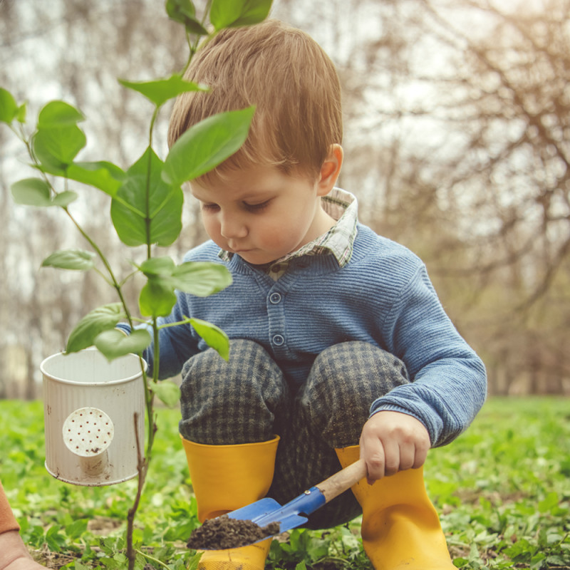 Principios básicos en educacion ambiental
