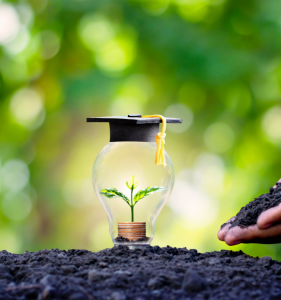A educación ambiental como resposta á crise ambiental
