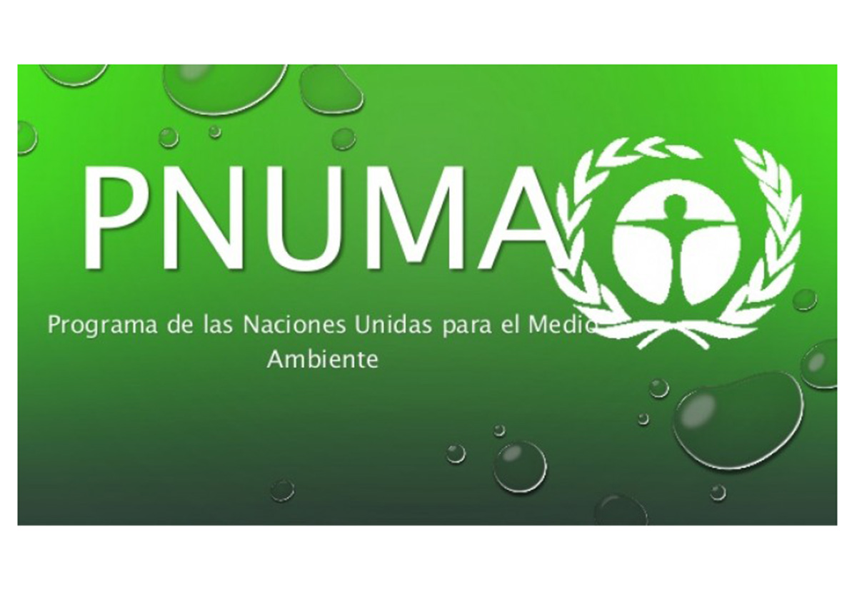 Naciones Unidas